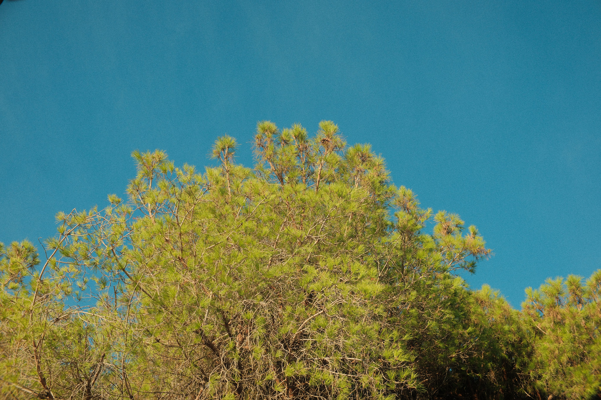 DSCF4918.jpg