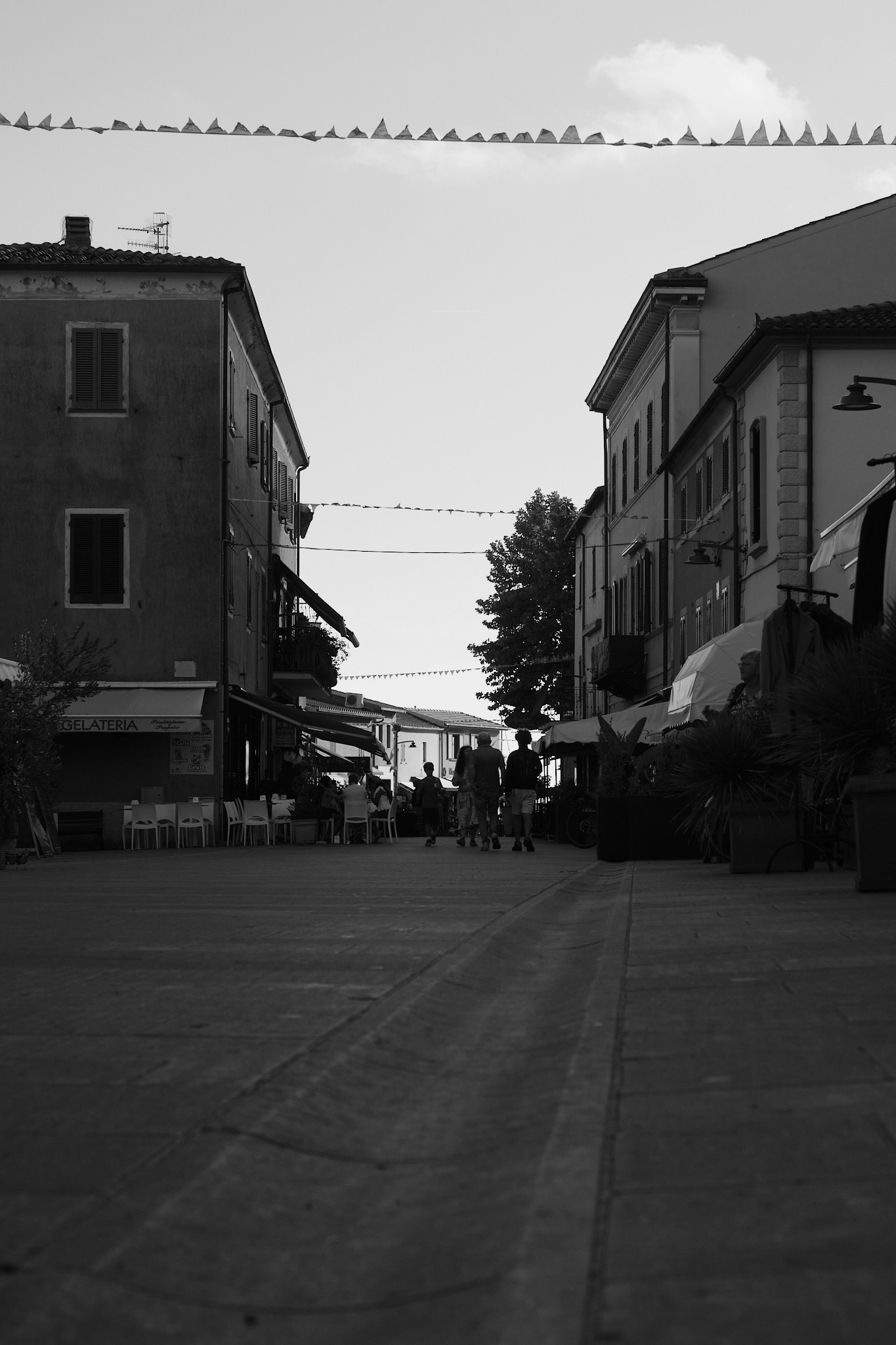 DSCF5082.jpg