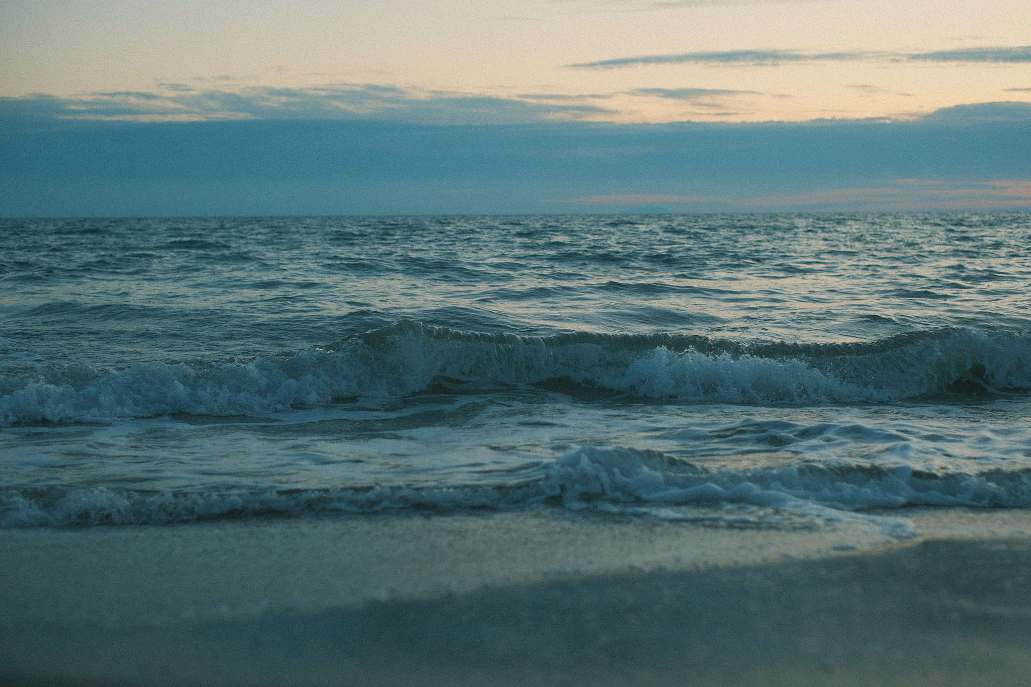 DSCF5146.jpg